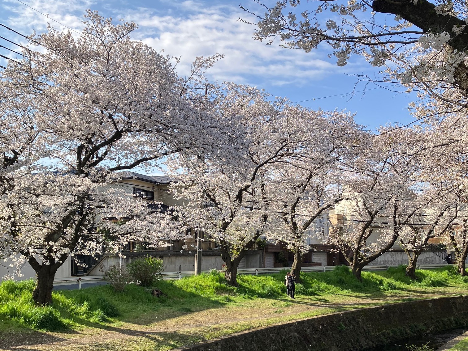 福田の里分場